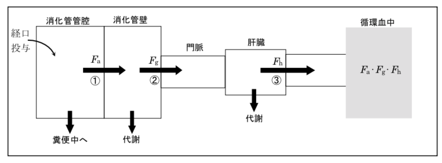 解説画像
